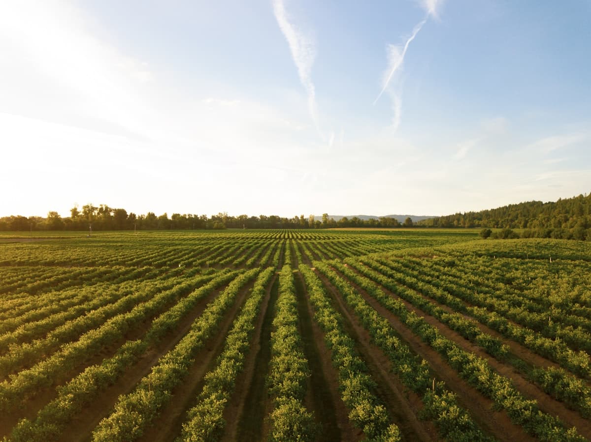 Agriculture deployment