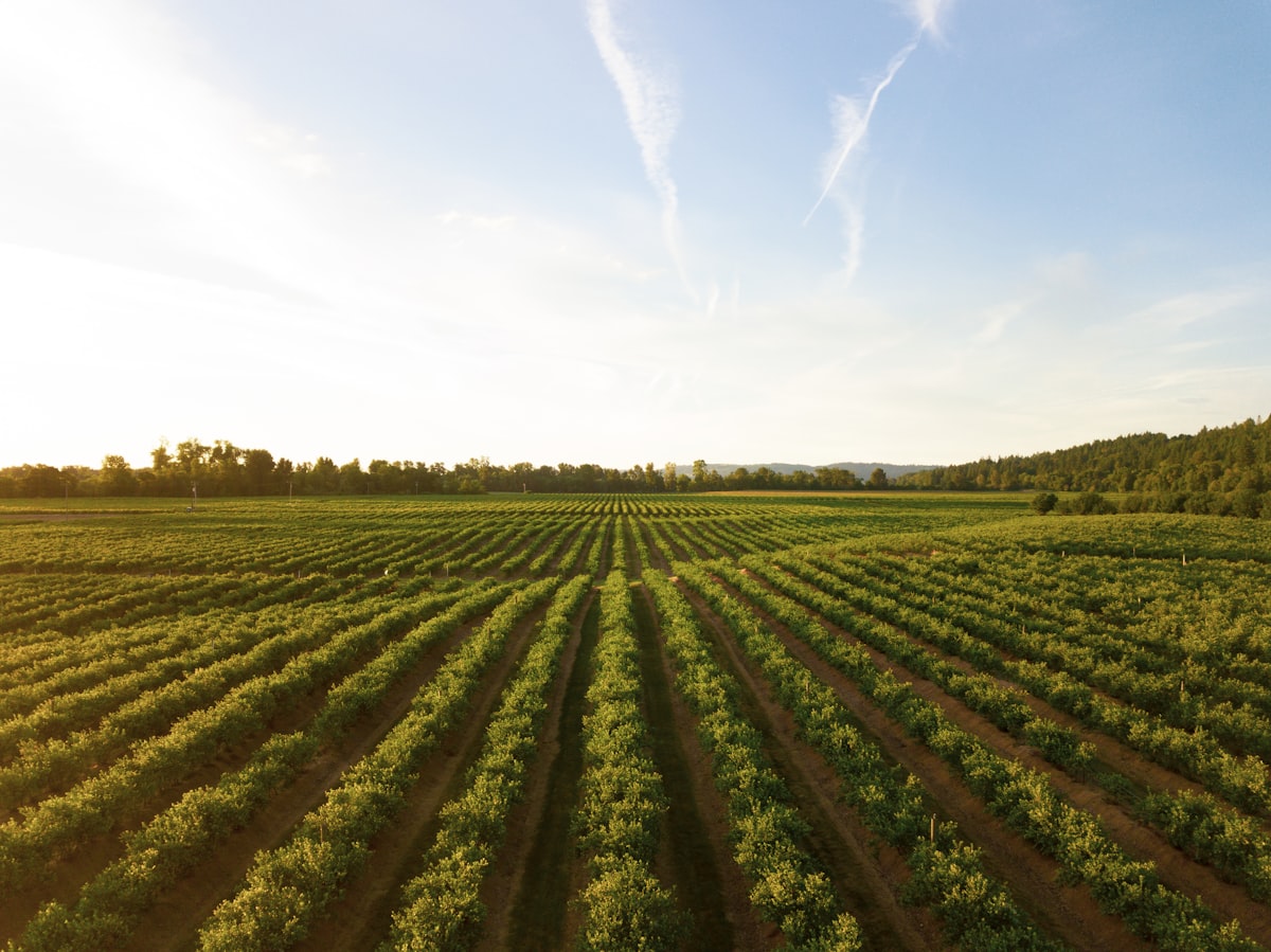 Agriculture deployment